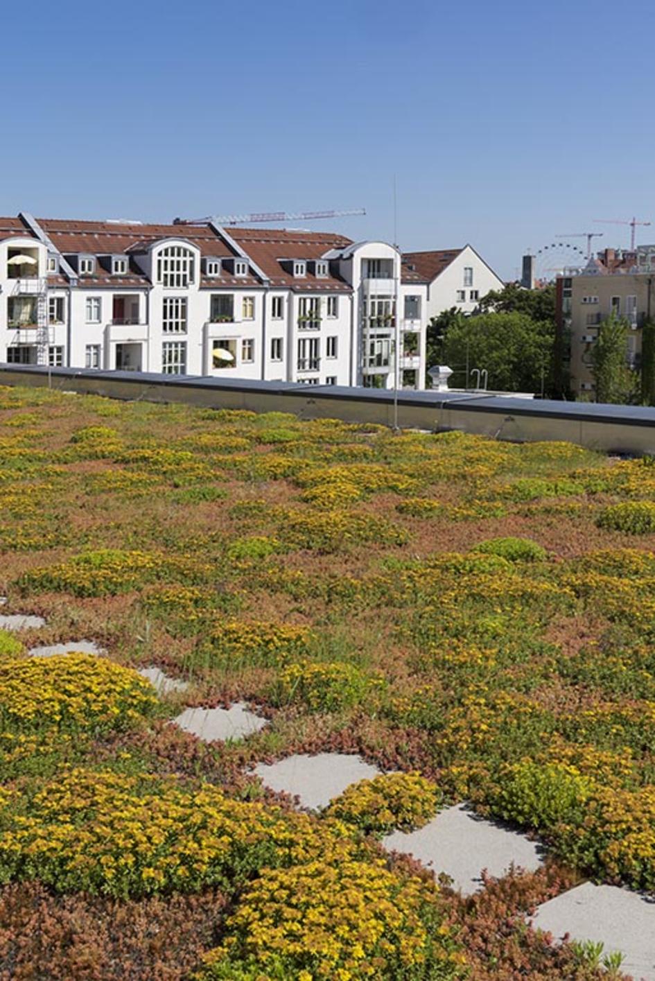 P-ID:0-volkshochschule-muenchen-einsteinstr