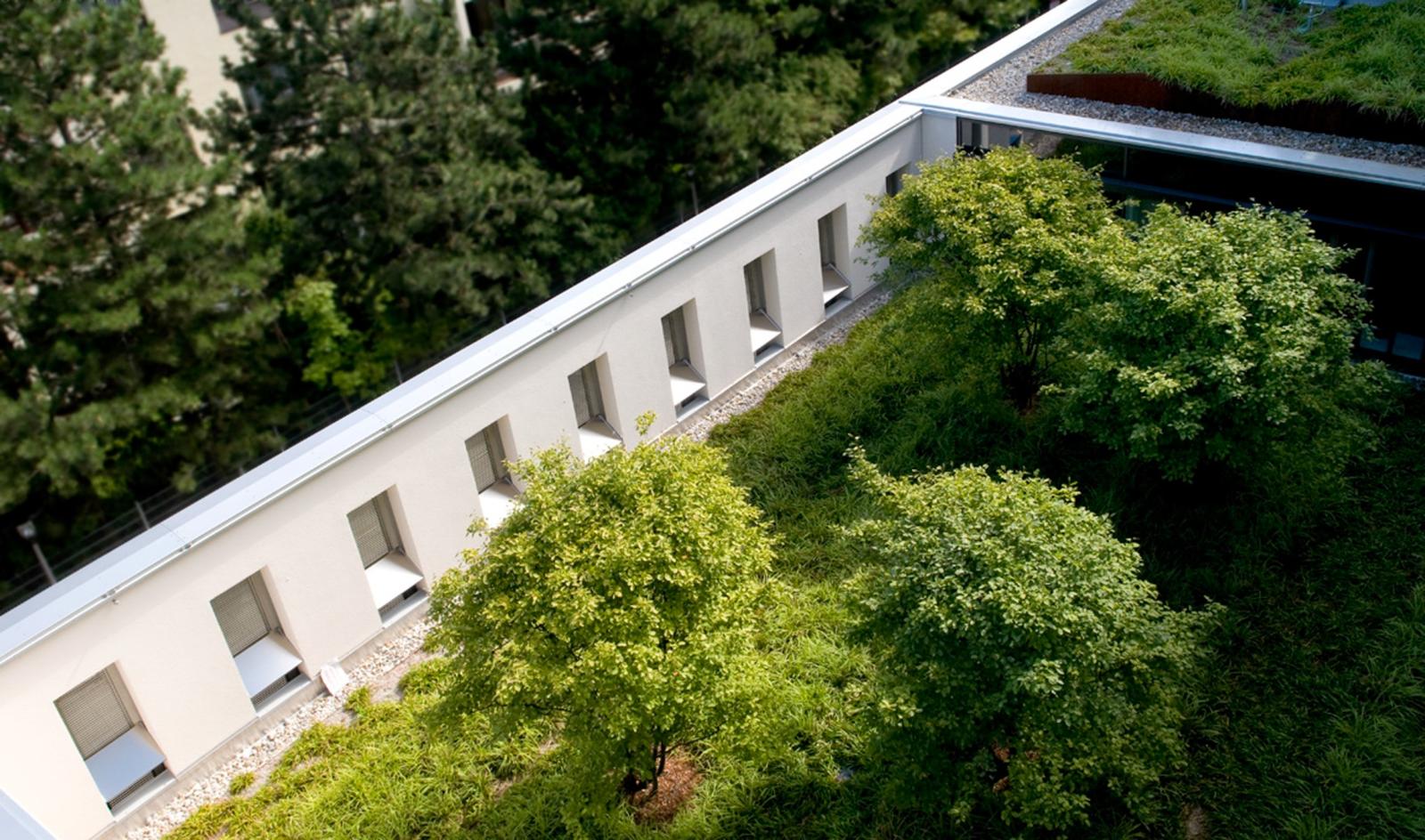 P-ID:39-Klinikum rechts der Isar München