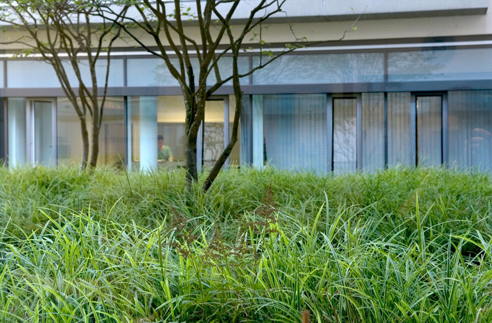 P-ID:39-Klinikum rechts der Isar München